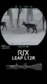 RIX LEAP L12R Wärmebild - Zielfernrohr (5)
